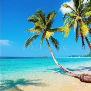 Meet your Posher, Marian